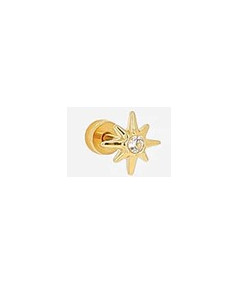 boucle d'oreille a l'unité piersing acier doré étoile zirconium  Zag