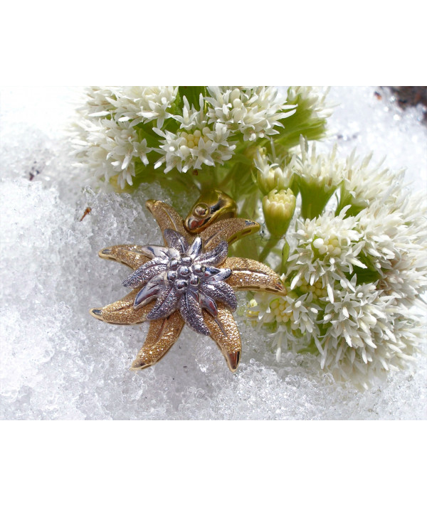 Photo d'une edelweiss en or 750/000 sur de la neige Photo joly-Pottuz Megève