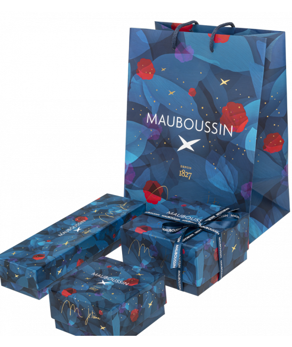 packaging Mauboussin