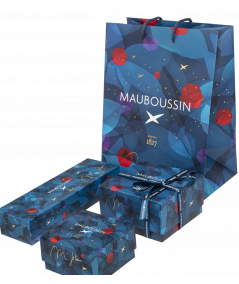 packaging Mauboussin